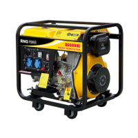 Дизельний генератор RNG POWER DG6000E